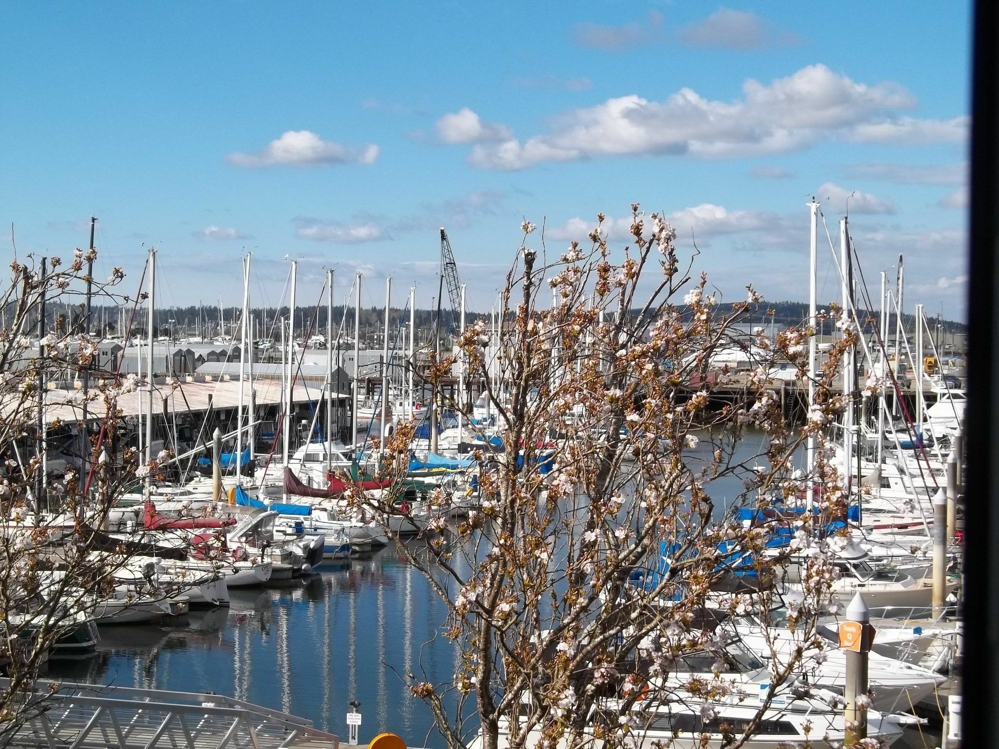 Inn At Port Gardner-Everett Waterfront, Ascend Hotel Collection Dış mekan fotoğraf